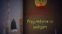 Peyğəmbərin (s) yadigarı (2-ci hissə)