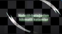 Nəhcül-Bəlağə-Hz.Əlinin (ə) hikmətli kəlamları (3-cü hissə)