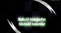 Nəhcül-Bəlağə-Hz.Əlinin (ə) hikmətli kəlamları (10-cu hissə)