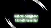 Nəhcül-Bəlağə-Hz.Əlinin (ə) hikmətli kəlamları (12-ci hissə)