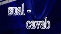 Sual-cavab 31