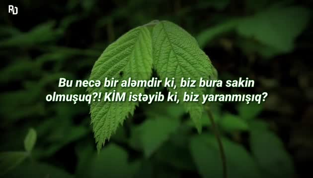 Hacı Fuad - Dünya necə də qəribədir