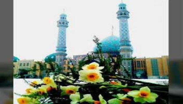 Salam Yəbnəl Həsən (ə.f)