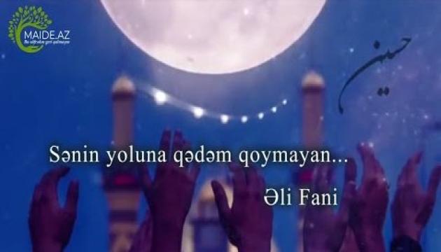 Ali Fani - Sənin yoluna qədəm qoymayan...