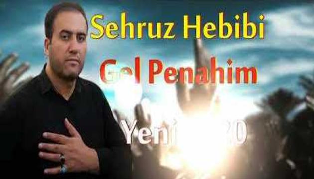 Şəhruz Həbibi  Gəl əxa pənahım (2020)