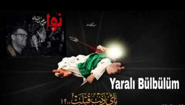 Əlirza İsfəndiyari-Mənim yaralı bülbülüm