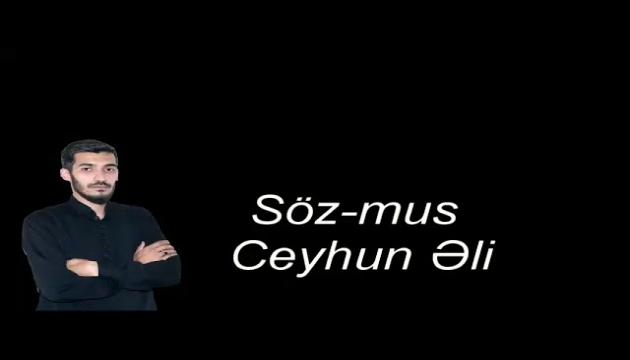 Dərvişlər Qrupu - Aşiqi Hüseynik 