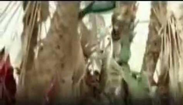 Ey Kərbubəla Ey Ürəklərdə Yara