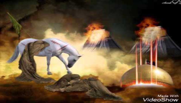 Şəhruz Həbibi - Yaralı 