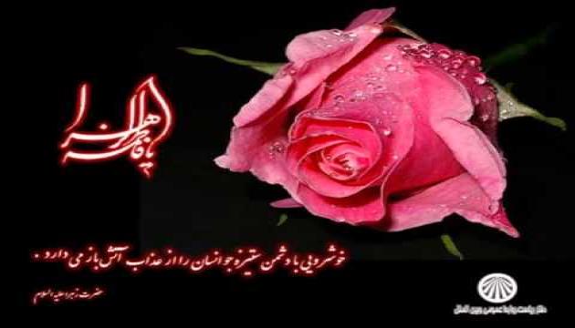 Şəhruz Həbibi - Zəhra (s.ə) gedib əlimdən