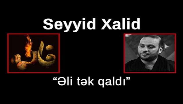 Seyyid Xalid - Əli (ə.s) tək qaldı