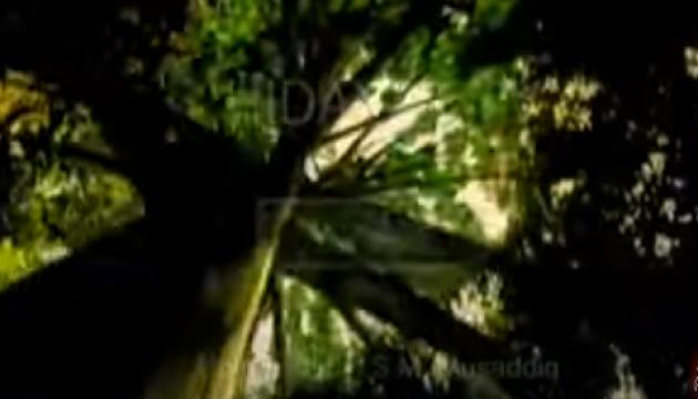 Subhanallah Islamic song in Arabic