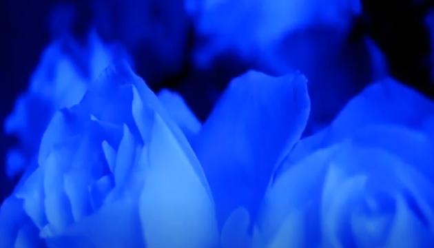 SUFI MUSIC ENSEMBLE - YUNUS