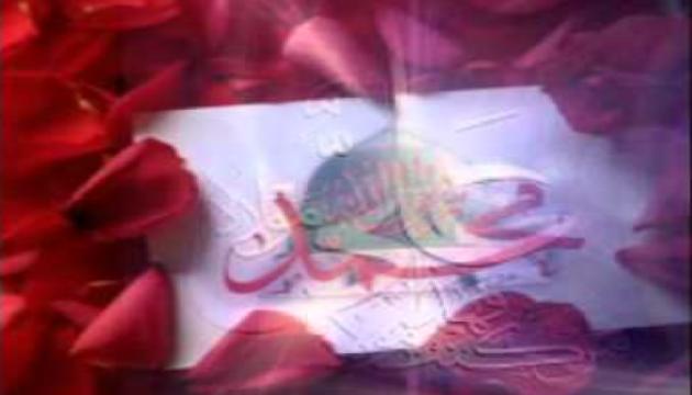 Mehmet Gökçe - ZEHRA