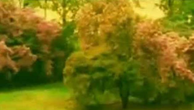 Muhamməd İsfahani - Əli Ey Humayı Rəhmət