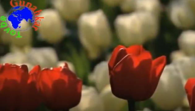 Aqşin Fateh-Hacı Şahin - Ağlama