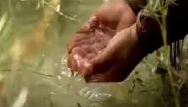 Şəhriyar Məcidi - Ya Əbəlfəz (ə)