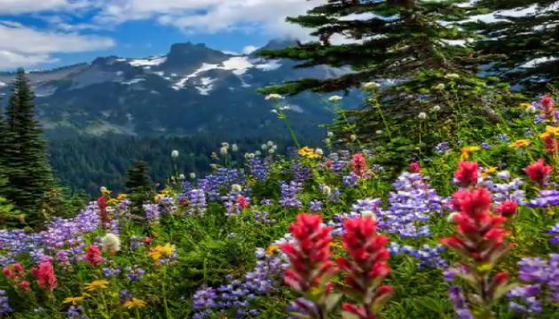 İntizar ilahi nəğmələr qrupu - Salam olsun