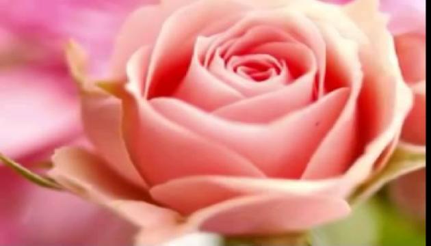 Nur İlahilər Qrupu - SAHİB-əz Zaman Məhdi (ə.f)