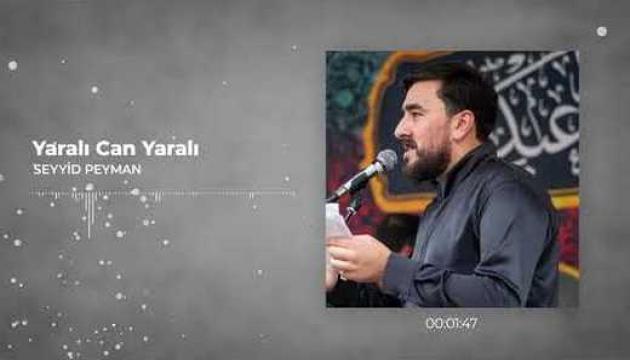 Seyyid Peyman - Yaralı Can Yaralı