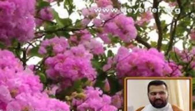 Hacı İlqar - Peyğəmbərin gəlişi ilə insanların dəyərləri dəyişir