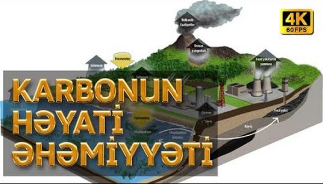 Karbonun Həyati Əhəmiyyəti